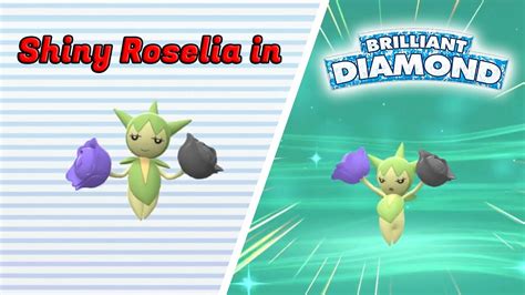 roselia brilliant diamond.